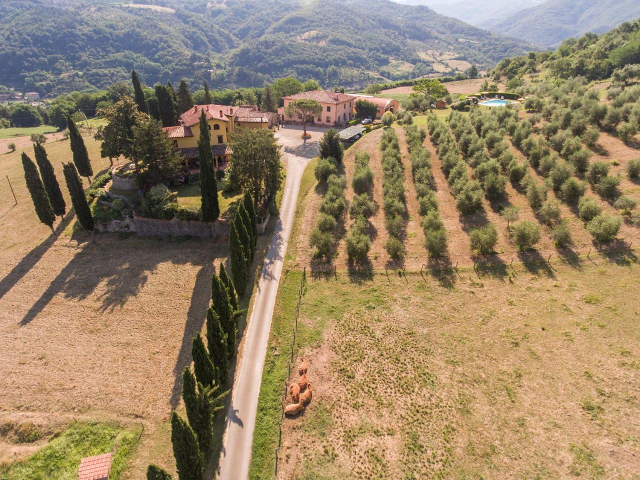 Villa Trebbiolo à Dicomano Extérieur photo